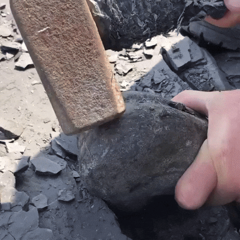 Giphy - fossil GIF