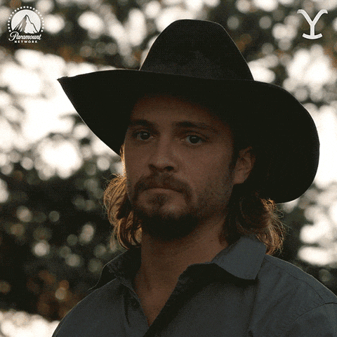 Giphy - Luke Grimes Frown GIF by Yellowstone