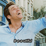 Giphy - beautiful jim carey GIF