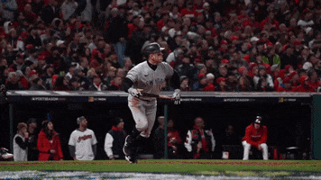 Home Run Baseball GIF by MLB