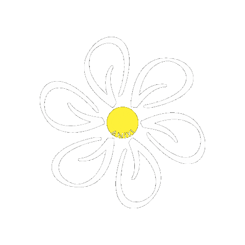 Summer Flower Sticker By Anixigif