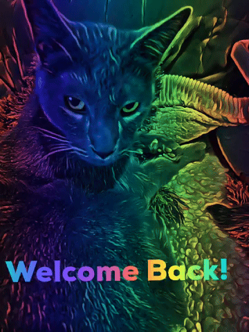 Welcome Back GIF
