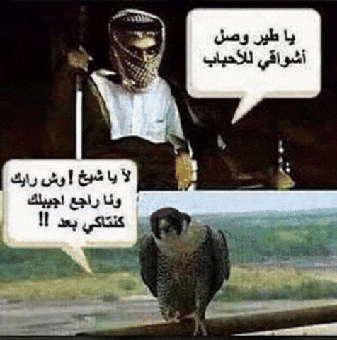 شعر GIF