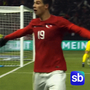 Millitakim GIF by Sporbulteni