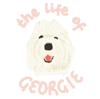 Dog Sticker