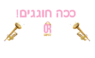 אור שפיץ Sticker by orshpitz