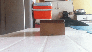 flachy  GIF
