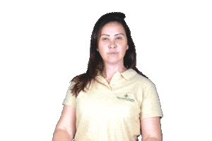 Clap Palmas Sticker by Gramado Parks