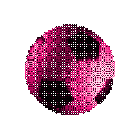All Women's Sports Network Sticker