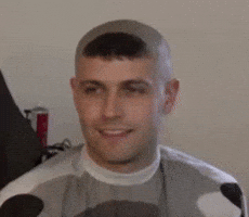 Blur Stallions GIF