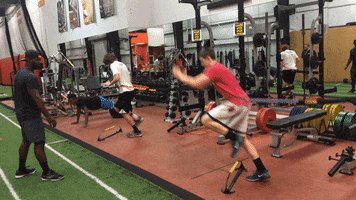 anarodriguezbalp  GIF