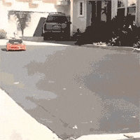 GIF by Production Club