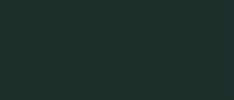 Gruene Diegrünen GIF by Grüne Baden-Württemberg