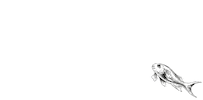 Cap Océan Sticker