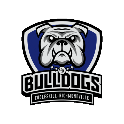 Cobleskill-Richmondville CSD Sticker