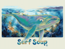 GIF by Surf Soup®