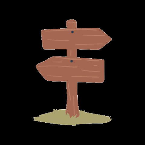 Owaka GIF