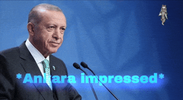 Turkey Ohio GIF