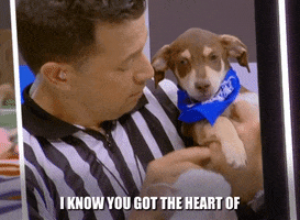 Go For It Heart GIF by Puppy Bowl