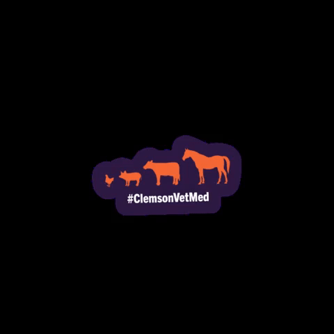 Clemson University Sc GIF by Clemson Vet Med