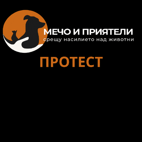 Mechongo GIF by MechoAndFriendsNGO