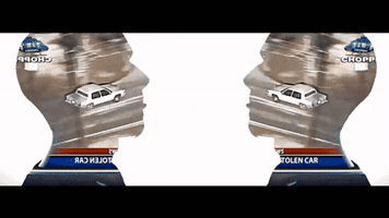 thecrackle  GIF