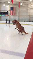 skating GIF