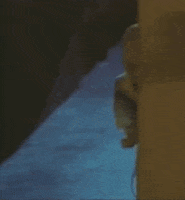 home video horror GIF by absurdnoise