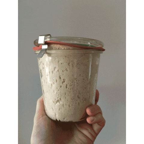 Sourdough Sticker by Il Mio Pane