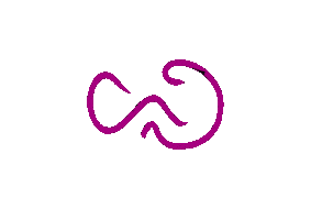 Wiggle Sticker by M-SParc