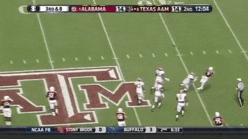 wendellferreira-25b6 football GIF