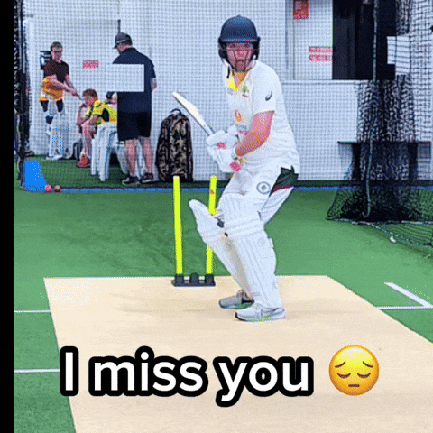 Cricket GIF