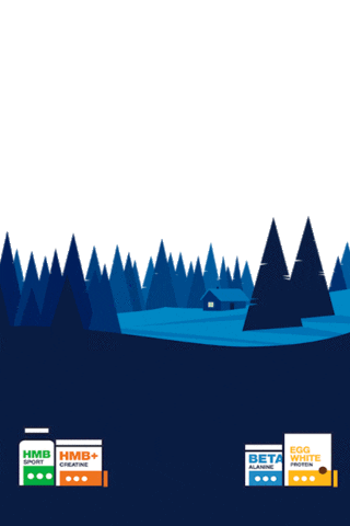 Christmas Holiday Sticker by Blonyx