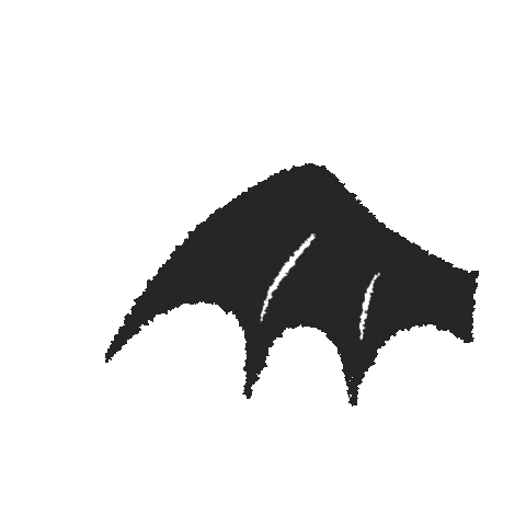 Illustration Sticker