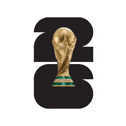 Fifa World Cup Football Sticker by All Jordan Youth Commission
