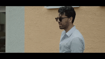 Love It Reaction GIF by The official GIPHY Page for Davis Schulz