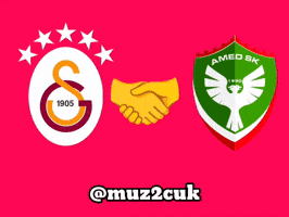 Galatasaray Gs GIF