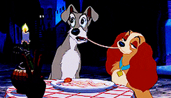 romantic lady and the tramp GIF