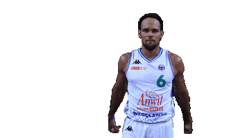 Anwil Wloclawek Sticker