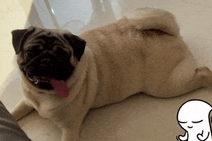 Happy GIF