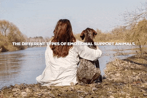 Emotional Support Animal Letter GIF