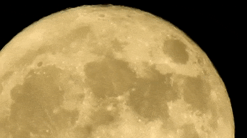 Full Moon GIF by Storyful