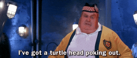 turtle-heading meme gif