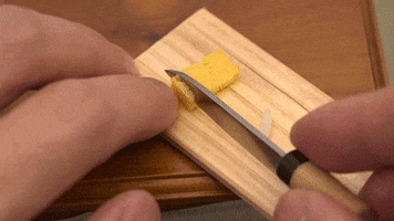 sushi for ants GIF by Digg