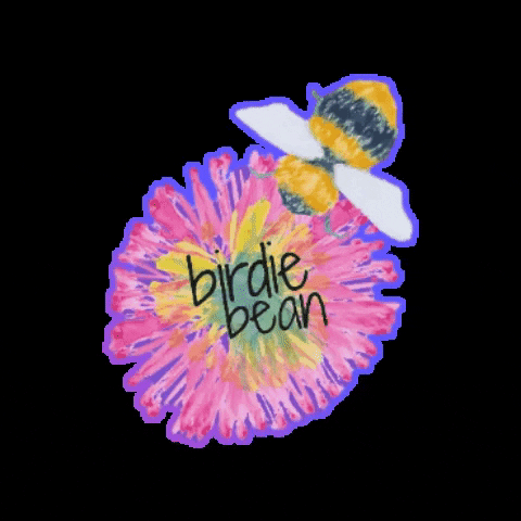 Bumble Bee Flower GIF by Birdie Bean