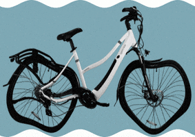 Unified Bike Co. GIF