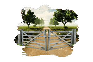 Boi Agronegocio Sticker by Prodap