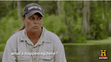 confused the history channel GIF by Swamp People