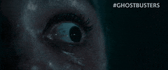 Stare Omg GIF by Sony Pictures Germany