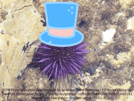 Ds106 GIF